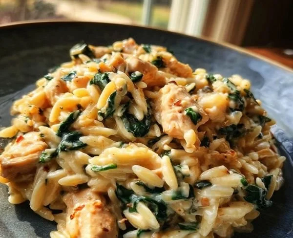 Creamy one-pot chicken orzo dish served in a bowl